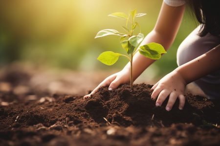 Summer Nanny Needed – Explore The Outdoors!